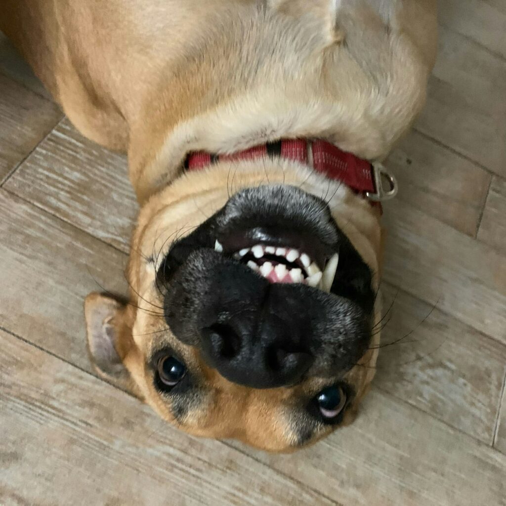 Lifetime Wellness Plans