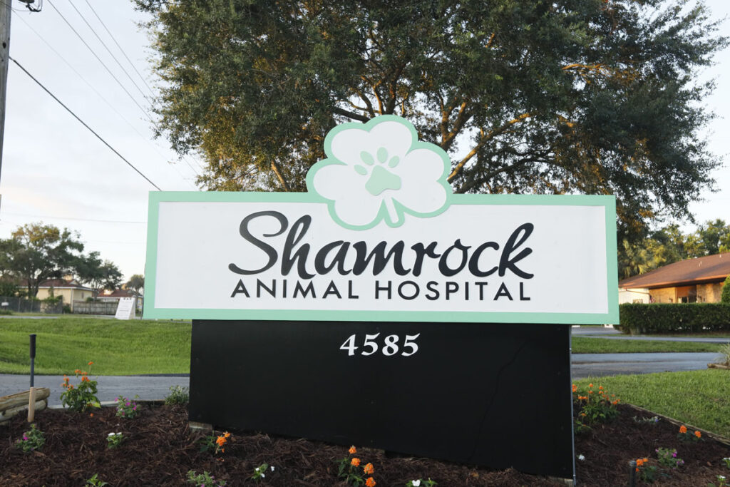 Shamrock Animal Hospital About Us