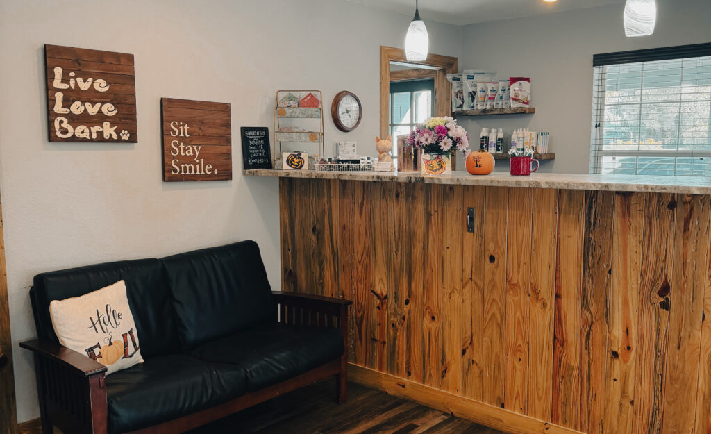 What to Expect Shamrock Animal Hospital